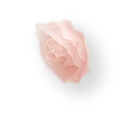 頭紗