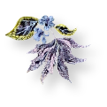 New species